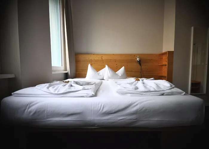 The Cat's Pajamas Hostel *